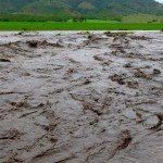 Churches want all sides to make climate change an election issue