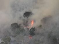 Loggers use fire to wipe out Amazon tribes