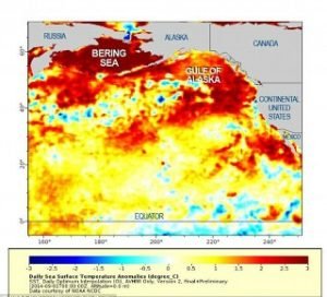 Map of ocean temperature