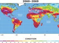 Climate shift wiping out tropical and arctic ecosystems