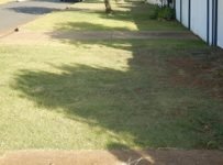 Sweepers arise – your brooms await