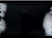 Mutant bacteria resisting antibiotics