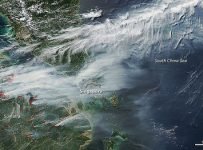 satellite image of forest fires