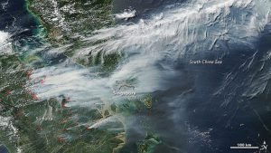 satellite image of forest fires