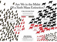 Mass Extinctions