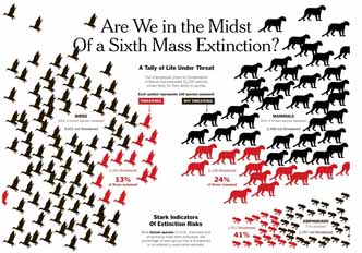 Mass Extinctions