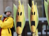 Bayer and Monsanto merger frightens farmers and foodies
