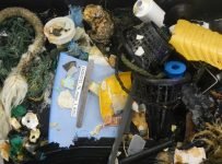 Pacific Dead zone bigger than Australia