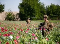 Heroin floods USA post-Taliban