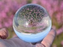 SARS-CoV-2 as our crystal ball