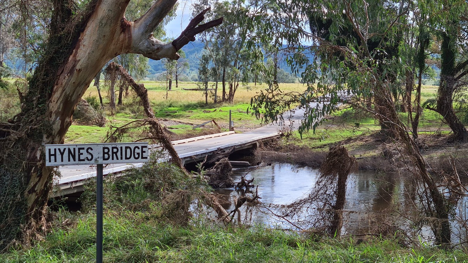 Bushcare Round-Up 30th April – 1st May